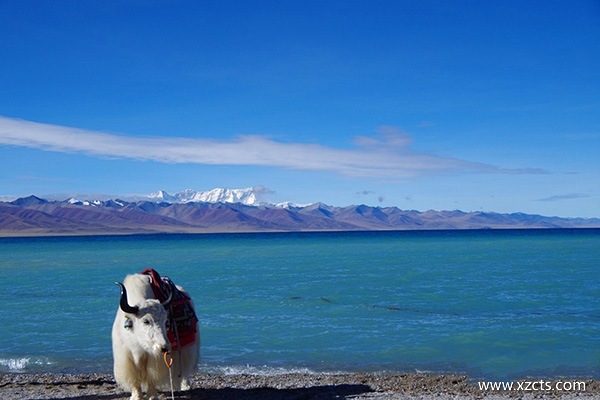 現在可以進西藏嗎?