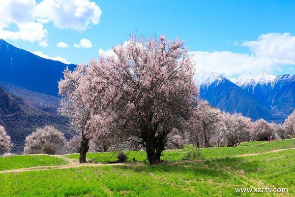 何時去西藏旅游好？